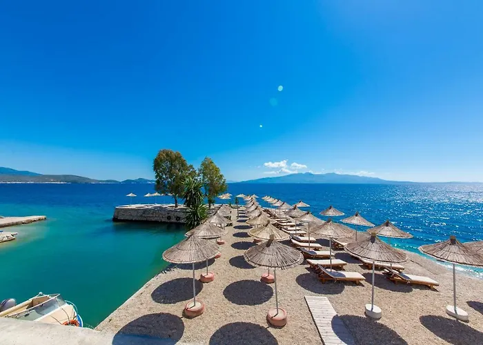 Palace Σαράντα